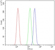 Flow cytometry testing of human SiHa cells with c-Fos antibody at 1ug/million cells (blocked with goat sera); Red=cells alone, Green=isotype control, Blue= c-Fos antibody.