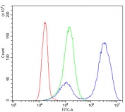 Flow cytometry testing of human K562 cells with GATA1 antibody at 1ug/million cells (blocked with goat sera); Red=cells alone, Green=isotype control, Blue= GATA1 antibody.