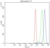 Flow cytometry testing of fixed and permeabilized human U-87 MG cells with GRB10 antibody at 1ug/million cells (blocked with goat sera); Red=cells alone, Green=isotype control, Blue= GRB10 antibody.