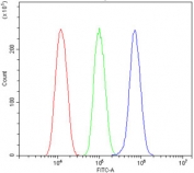 Flow cytometry testing of mouse HEPA1-6 cells with GRB10 antibody at 1ug/million cells (blocked with goat sera); Red=cells alone, Green=isotype control, Blue= GRB10 antibody.