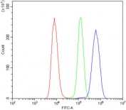 Flow cytometry testing of human Raji cells with ITGAV antibody at 1ug/million cells (blocked with goat sera); Red=cells alone, Green=isotype control, Blue= ITGAV antibody.