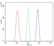 Flow cytometry testing of human U-87 MG cells with JUNB antibody at 1ug/million cells (blocked with goat sera); Red=cells alone, Green=isotype control, Blue= JUNB antibody.