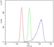 Flow cytometry testing of human U-2 OS cells with OXCT1 antibody at 1ug/million cells (blocked with goat sera); Red=cells alone, Green=isotype control, Blue= OXCT1 antibody.