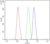 Flow cytometry testing of human A431 cells with PAX4 antibody at 1ug/million cells (blocked with goat sera); Red=cells alone, Green=isotype control, Blue= PAX4 antibody.