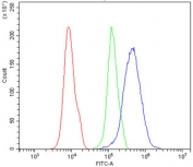 Flow cytometry testing of human 293T cells with PDX1 antibody at 1ug/million cells (blocked with goat sera); Red=cells alone, Green=isotype control, Blue= PDX1 antibody.