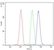 Flow cytometry testing of human HL-60 cells with PHB2 antibody at 1ug/million cells (blocked with goat sera); Red=cells alone, Green=isotype control, Blue= PHB2 antibody.