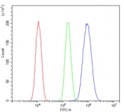 Flow cytometry testing of human A431 cells with PTPN6 antibody at 1ug/million cells (blocked with goat sera); Red=cells alone, Green=isotype control, Blue= PTPN6 antibody.