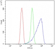 Flow cytometry testing of human HeLa cells with RAB9A antibody at 1ug/million cells (blocked with goat sera); Red=cells alone, Green=isotype control, Blue= RAB9A antibody.