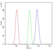 Flow cytometry testing of human A431 cells with RGMB antibody at 1ug/million cells (blocked with goat sera); Red=cells alone, Green=isotype control, Blue= RGMB antibody.