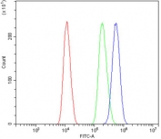 Flow cytometry testing of human U-2 OS cells with SAMHD1 antibody at 1ug/million cells (blocked with goat sera); Red=cells alone, Green=isotype control, Blue= SAMHD1 antibody.