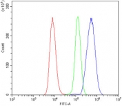 Flow cytometry testing of human Raji cells with SHANK3 antibody at 1ug/million cells (blocked with goat sera); Red=cells alone, Green=isotype control, Blue= SHANK3 antibody.