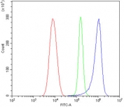 Flow cytometry testing of mouse HEPA1-6 cells with SHANK3 antibody at 1ug/million cells (blocked with goat sera); Red=cells alone, Green=isotype control, Blue= SHANK3 antibody.