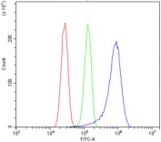 Flow cytometry testing of human U-87 MG cells with SHMT1 antibody at 1ug/million cells (blocked with goat sera); Red=cells alone, Green=isotype control, Blue= SHMT1 antibody.