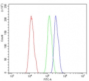 Flow cytometry testing of human A431 cells with SOX-3 antibody at 1ug/million cells (blocked with goat sera); Red=cells alone, Green=isotype control, Blue= SOX3 antibody.