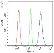 Flow cytometry testing of human U-87 MG cells with MST-2 antibody at 1ug/million cells (blocked with goat sera); Red=cells alone, Green=isotype control, Blue= MST-2 antibody.