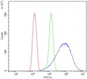 Flow cytometry testing of human HeLa cells with TUBA1A antibody at 1ug/million cells (blocked with goat sera); Red=cells alone, Green=isotype control, Blue= TUBA1A antibody.