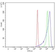 Flow cytometry testing of human SiHa cells with TUBB1 antibody at 1ug/million cells (blocked with goat sera); Red=cells alone, Green=isotype control, Blue= TUBB1 antibody.