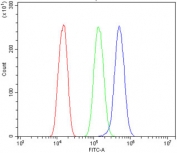 Flow cytometry testing of human PC-3 cells with ULBP1 antibody at 1ug/million cells (blocked with goat sera); Red=cells alone, Green=isotype control, Blue= ULBP1 antibody.