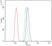 Flow cytometry testing of human U937 cells with Uromodulin antibody at 1ug/million cells (blocked with goat sera); Red=cells alone, Green=isotype control, Blue= Uromodulin antibody.