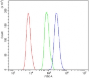 Flow cytometry testing of mouse ANA-1 cells with Xrcc4 antibody at 1ug/million cells (blocked with goat sera); Red=cells alone, Green=isotype control, Blue= Xrcc4 antibody.