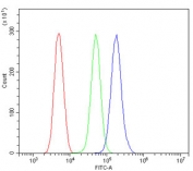 Flow cytometry testing of human ThP-1 cells with S100A4 antibody at 1ug/million cells (blocked with goat sera); Red=cells alone, Green=isotype control, Blue= S100A4 antibody.