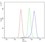 Flow cytometry testing of mouse spleen cells with Caspase 9 p35 antibody at 1ug/million cells (blocked with goat sera); Red=cells alone, Green=isotype control, Blue= Caspase 9 p35 antibody.