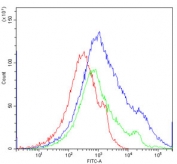 Flow cytometry testing of human PBM cells with CCR2 antibody at 1ug/million cells (blocked with goat sera); Red=cells alone, Green=isotype control, Blue= CCR2 antibody.