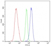 Flow cytometry testing of human HL-60 cells with DR1 antibody at 1ug/million cells (blocked with goat sera); Red=cells alone, Green=isotype control, Blue= DR1 antibody.
