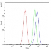Flow cytometry testing of human HepG2 cells with F11R antibody at 1ug/million cells (blocked with goat sera); Red=cells alone, Green=isotype control, Blue= F11R antibody.