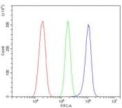 Flow cytometry testing of rat RH35 cells with B-ARK1 antibody at 1ug/million cells (blocked with goat sera); Red=cells alone, Green=isotype control, Blue= B-ARK1 antibody.