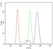 Flow cytometry testing of human U937 cells with B-ARK1 antibody at 1ug/million cells (blocked with goat sera); Red=cells alone, Green=isotype control, Blue= B-ARK1 antibody.