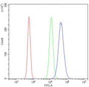 Flow cytometry testing of mouse RAW264.7 cells with HOXD11 antibody at 1ug/million cells (blocked with goat sera); Red=cells alone, Green=isotype control, Blue= HOXD11 antibody.