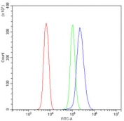 Flow cytometry testing of rat NRK cells with HOXD11 antibody at 1ug/million cells (blocked with goat sera); Red=cells alone, Green=isotype control, Blue= HOXD11 antibody.