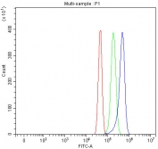 Flow cytometry testing of mouse RAW264.7 cells with Gilt antibody at 1ug/million cells (blocked with goat sera); Red=cells alone, Green=isotype control, Blue= Gilt antibody.