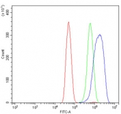 Flow cytometry testing of human SiHa cells with Inhibin alpha antibody at 1ug/million cells (blocked with goat sera); Red=cells alone, Green=isotype control, Blue= Inhibin alpha antibody.