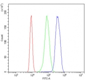 Flow cytometry testing of human K562 cells with LSM2 antibody at 1ug/million cells (blocked with goat sera); Red=cells alone, Green=isotype control, Blue= LSM2 antibody.