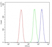 Flow cytometry testing of human U-2 OS cells with MBD1 antibody at 1ug/million cells (blocked with goat sera); Red=cells alone, Green=isotype control, Blue= MBD1 antibody.