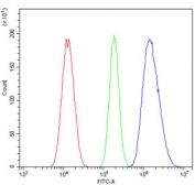 Flow cytometry testing of human A549 cells with MBD1 antibody at 1ug/million cells (blocked with goat sera); Red=cells alone, Green=isotype control, Blue= MBD1 antibody.