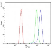 Flow cytometry testing of human HeLa cells with MCU antibody at 1ug/million cells (blocked with goat sera); Red=cells alone, Green=isotype control, Blue= MCU antibody.