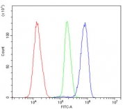 Flow cytometry testing of human K562 cells with MESP2 antibody at 1ug/million cells (blocked with goat sera); Red=cells alone, Green=isotype control, Blue= MESP2 antibody.