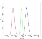 Flow cytometry testing of human HL-60 cells with RIO Kinase 1 antibody at 1ug/million cells (blocked with goat sera); Red=cells alone, Green=isotype control, Blue= RIO Kinase 1 antibody.
