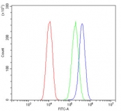 Flow cytometry testing of human U-2 OS cells with SEZ6L antibody at 1ug/million cells (blocked with goat sera); Red=cells alone, Green=isotype control, Blue= SEZ6L antibody.