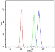 Flow cytometry testing of human A549 cells with SOX6 antibody at 1ug/million cells (blocked with goat sera); Red=cells alone, Green=isotype control, Blue= SOX6 antibody.