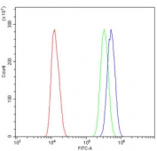 Flow cytometry testing of human U-2 OS cells with SOX11 antibody at 1ug/million cells (blocked with goat sera); Red=cells alone, Green=isotype control, Blue= SOX11 antibody.