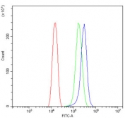 Flow cytometry testing of human U-2 OS cells with THBS1 antibody at 1ug/million cells (blocked with goat sera); Red=cells alone, Green=isotype control, Blue= THBS1 antibody.