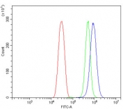 Flow cytometry testing of mouse HEPA1-6 cells with Tnfrsf17 antibody at 1ug/million cells (blocked with goat sera); Red=cells alone, Green=isotype control, Blue= Tnfrsf17 antibody.