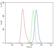 Flow cytometry testing of human A431 cells with KIBRA antibody at 1ug/million cells (blocked with goat sera); Red=cells alone, Green=isotype control, Blue= KIBRA antibody.