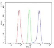 Flow cytometry testing of human ThP-1 cells with YTHDF2 antibody at 1ug/million cells (blocked with goat sera); Red=cells alone, Green=isotype control, Blue= YTHDF2 antibody.