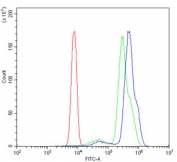 Flow cytometry testing of human U937 cells with PPP2CA antibody at 1ug/million cells (blocked with goat sera); Red=cells alone, Green=isotype control, Blue= PPP2CA antibody.