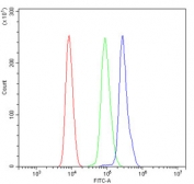 Flow cytometry testing of human HL-60 cells with TRIM33 antibody at 1ug/million cells (blocked with goat sera); Red=cells alone, Green=isotype control, Blue= TRIM33 antibody.